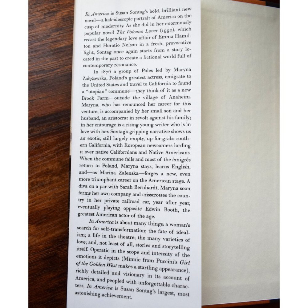 Susan Sontag book  "In America: A Novel" - Picture 2 of 5